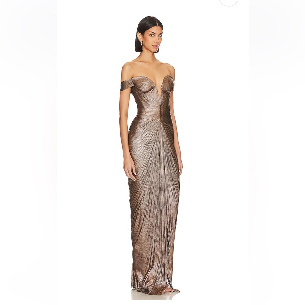NWT Maria Lucia Hohan Tia Gown in Carbon